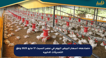 «صادمة» أسعار البيض اليوم في مصر السبت 17 مايو 2025 وفق التحديثات الأخيرة
